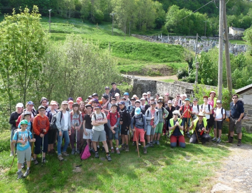 Conques VIII